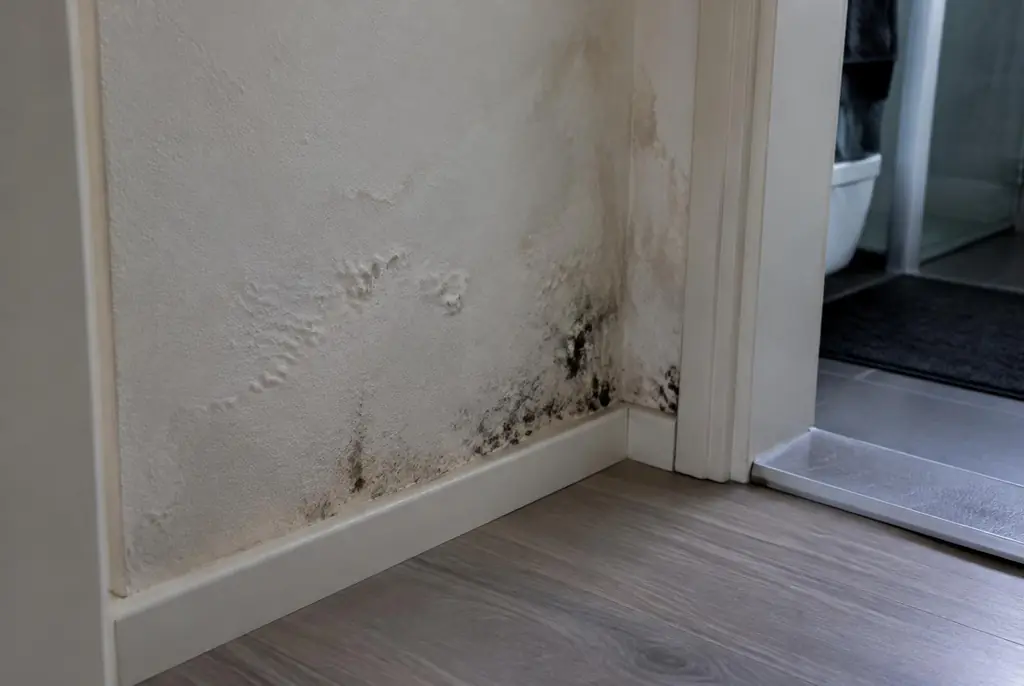 Lekdetectie Lopik – vochtplek met schimmel op een muur